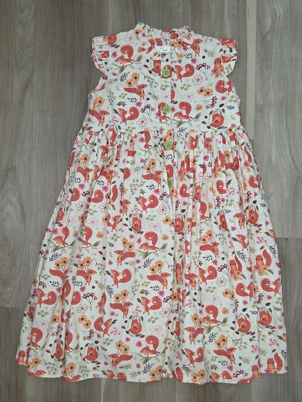 •Little Miss Marmalade• Little Girls Squirrels Button Down Dress